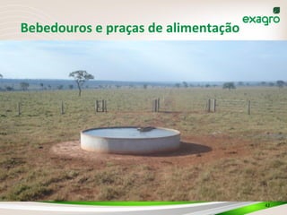 Bebedouros	
  e	
  praças	
  de	
  alimentação	
  
42	
  
 