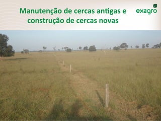 Manutenção	
  de	
  cercas	
  anKgas	
  e	
  
construção	
  de	
  cercas	
  novas	
  
43	
  
 