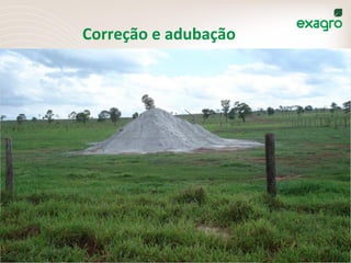 Correção	
  e	
  adubação	
  
45	
  
 