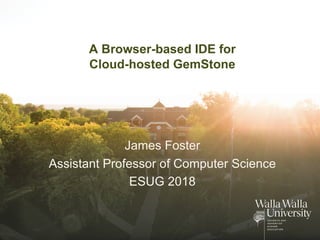 A Browser-based IDE for
Cloud-hosted GemStone
James Foster
Assistant Professor of Computer Science
ESUG 2018
 