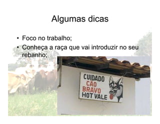 Algumas dicas

•  Foco no trabalho;
•  Conheça a raça que vai introduzir no seu
   rebanho;
 