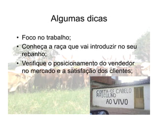 Algumas dicas

•  Foco no trabalho;
•  Conheça a raça que vai introduzir no seu
   rebanho;
•  Verifique o posicionamento do vendedor
   no mercado e a satisfação dos clientes;
 