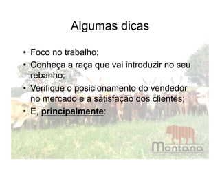 Algumas dicas

•  Foco no trabalho;
•  Conheça a raça que vai introduzir no seu
   rebanho;
•  Verifique o posicionamento do vendedor
   no mercado e a satisfação dos clientes;
•  E, principalmente:
 