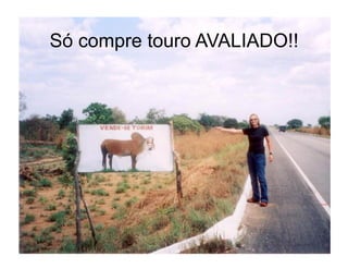 Só compre touro AVALIADO!!
 