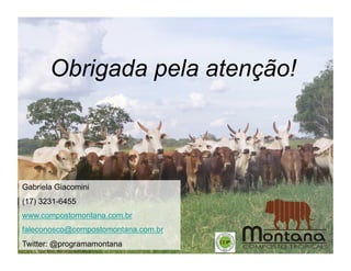 Obrigada pela atenção!



Gabriela Giacomini
(17) 3231-6455
www.compostomontana.com.br
faleconosco@compostomontana.com.br
Twitter: @programamontana
 