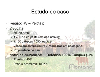 Estudo de caso

•  Região: RS – Pelotas;
•  2.300 ha
  –  360ha arroz;
  –  1.400 ha de pasto (maioria nativo);
  –  1.100 cabeças / 650 matrizes;
  –  Vacas em campo nativo / Primíparas em pastagens;
  –  Propriedade de cria.
•  Antes do cruzamento – Rebanho 100% Europeu puro
  –  Prenhez: 60%
  –  Peso a desmama: 150Kg
 