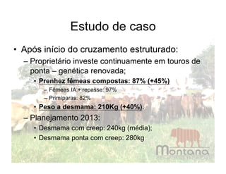 Estudo de caso
•  Após início do cruzamento estruturado:
  – Proprietário investe continuamente em touros de
    ponta – genética renovada;
     •  Prenhez fêmeas compostas: 87% (+45%)
        – Fêmeas IA + repasse: 97%
        – Primíparas: 82%
     •  Peso a desmama: 210Kg (+40%).
  – Planejamento 2013:
     •  Desmama com creep: 240kg (média);
     •  Desmama ponta com creep: 280kg
 