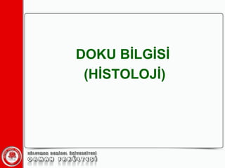 DOKU BİLGİSİ  (İհİ) 