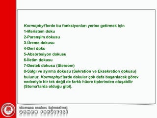 Kormophyt ’lerde bu fonksiyonları yerine getirmek için 1-Meristem doku 2-Paranşim dokusu 3-Üreme dokusu 4-Deri doku 5-Absorbsiyon dokusu 6-İletim dokusu 7-Destek dokusu (Stereom) 8-Salgı ve ayırma dokusu (Sekretion ve Eksekretion dokusu) bulunur.  Kormophyt ’lerde dokular çok defa başarılacak görev nedeniyle bir tek değil de farklı hücre tiplerinden oluşabilir (Stoma’larda olduğu gibi). 