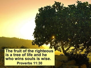 Tree The fruit of the righteous is a tree of life and he who wins souls is wise. Proverbs 11:30 