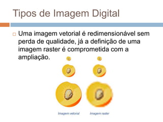 Tipos de Imagem Digital
 Uma imagem vetorial é redimensionável sem
perda de qualidade, já a definição de uma
imagem raster é comprometida com a
ampliação.
 