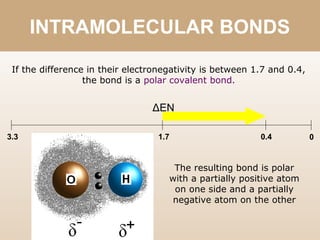 INTRAMOLECULAR BONDS
3.3 1.7 0
ΔEN
If the difference in their electronegativity is between 1.7 and 0.4,
the bond is a polar covalent bond.
The resulting bond is polar
with a partially positive atom
on one side and a partially
negative atom on the other
0.4
 