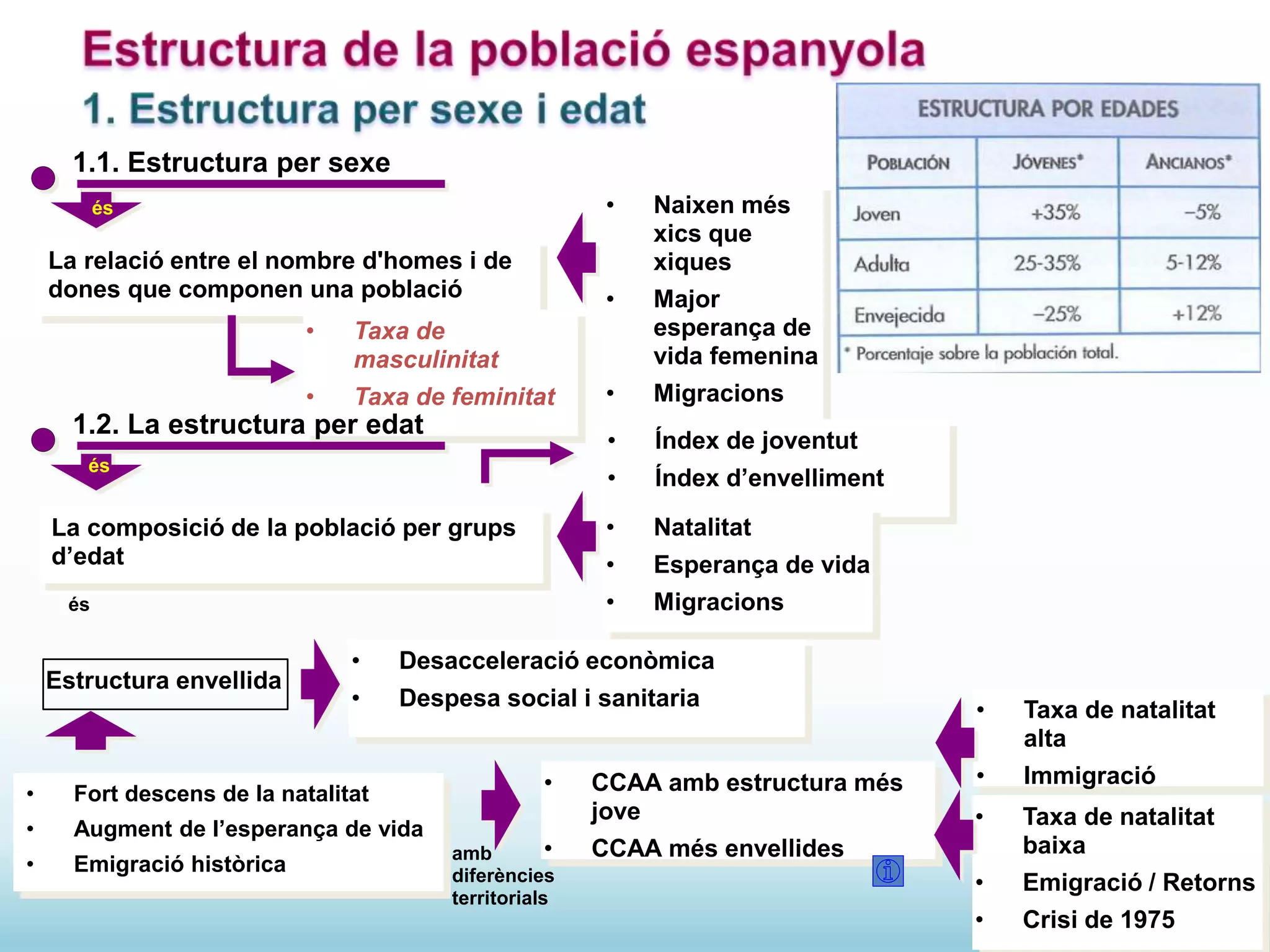 1.1. Estructura per sexe
La relació entre el nombre d'homes i de
dones que componen una població
és
• Taxa de
masculinitat
• Taxa de feminitat
• Naixen més
xics que
xiques
• Major
esperança de
vida femenina
• Migracions
1.2. La estructura per edat
és
La composició de la població per grups
d’edat
• Índex de joventut
• Índex d’envelliment
• Natalitat
• Esperança de vida
• Migracions
Estructura envellida
• Fort descens de la natalitat
• Augment de l’esperança de vida
• Emigració històrica
amb
diferències
territorials
és
• CCAA amb estructura més
jove
• CCAA més envellides
• Taxa de natalitat
alta
• Immigració
• Taxa de natalitat
baixa
• Emigració / Retorns
• Crisi de 1975
• Desacceleració econòmica
• Despesa social i sanitaria
 