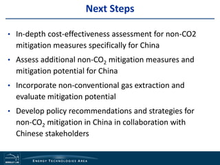China's Non-CO2 Greenhouse Gas Emissions: Future Trajectories and  Mitigation Options and Potential