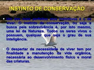 INSTINTO DE CONSERVAÇÃO Um dos mais perfeitos atos instintivos é o de viver. O instinto de conservação, ou seja a busca pela sobrevivência é, por isto mesmo, uma lei da Natureza. Todos os seres vivos o possuem, qualquer que seja o grau de sua inteligência. O despertar da necessidade de viver tem por finalidade a manutenção da vida orgânica, necessária ao desenvolvimento físico e moral das criaturas.  