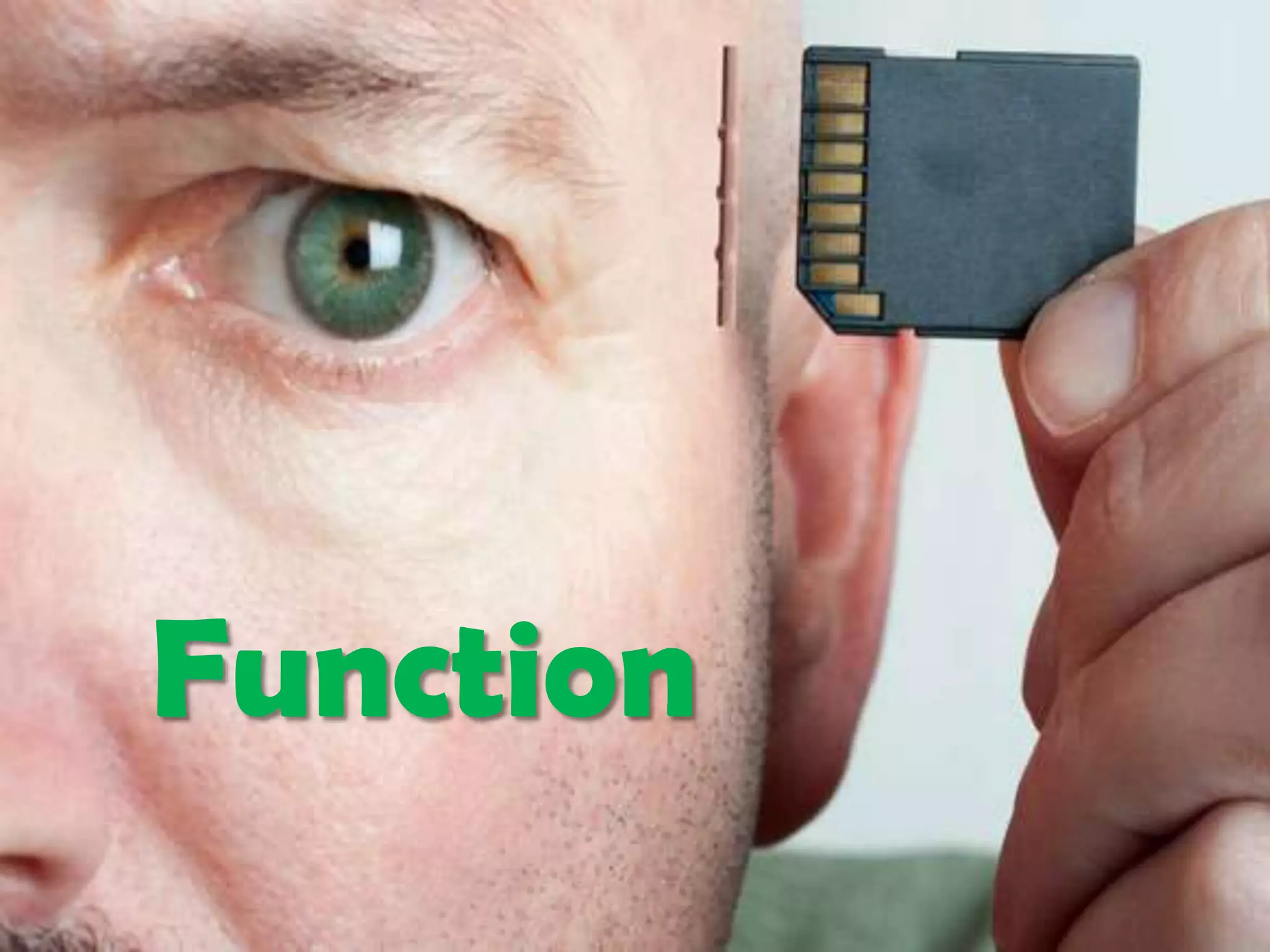 Function