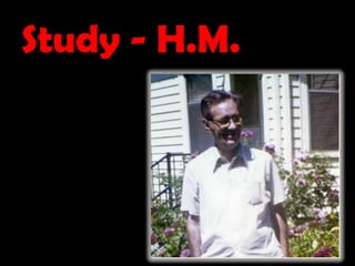 Study - H.M.
 