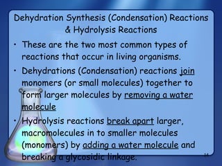 Dehydration Synthesis (Condensation) Reactions & Hydrolysis Reactions These are the two most common types of reactions that occur in living organisms. Dehydrations (Condensation) reactions  join  monomers (or small molecules) together to form larger molecules by  removing a water molecule Hydrolysis reactions  break apart  larger, macromolecules in to smaller molecules (monomers) by  adding a water molecule  and breaking a glycosidic linkage. 