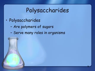 Polysaccharides Polysaccharides Are polymers of sugars Serve many roles in organisms 