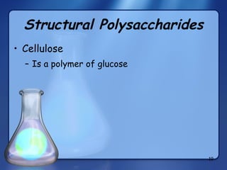 Structural Polysaccharides Cellulose Is a polymer of glucose 