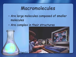 Macromolecules Are large molecules composed of smaller molecules Are complex in their structures Figure 5.1 