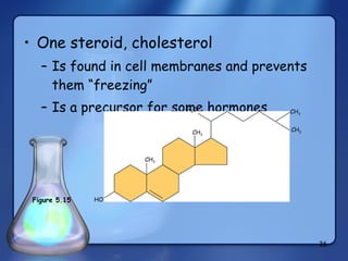 One steroid, cholesterol Is found in cell membranes and prevents them “freezing” Is a precursor for some hormones HO CH 3 CH 3 H 3 C CH 3 CH 3 Figure 5.15 