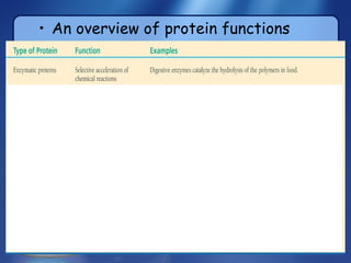 An overview of protein functions 