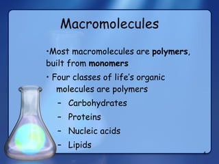 Macromolecules Most macromolecules are  polymers , built from  monomers Four classes of life’s organic   molecules are polymers Carbohydrates Proteins Nucleic acids Lipids 