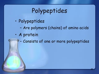 Polypeptides Polypeptides Are polymers (chains) of amino acids A protein Consists of one or more polypeptides 