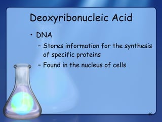 Deoxyribonucleic Acid DNA Stores information for the synthesis of specific proteins Found in the nucleus of cells 