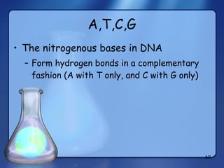 A,T,C,G The nitrogenous bases in DNA Form hydrogen bonds in a complementary fashion (A with T only, and C with G only) 