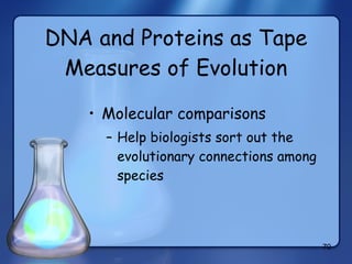 DNA and Proteins as Tape Measures of Evolution Molecular comparisons  Help biologists sort out the evolutionary connections among species  