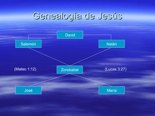 Genealogía de Jesús David (Mateo 1:12) (Lucas 3:27) Natán Zorobabel Salomón José María 