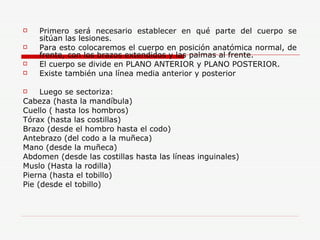 Primero será necesario establecer en qué parte del cuerpo se sitúan las lesiones. Para esto colocaremos el cuerpo en posición anatómica normal, de frente, con los brazos extendidos y las palmas al frente. El cuerpo se divide en PLANO ANTERIOR y PLANO POSTERIOR. Existe también una línea media anterior y posterior Luego se sectoriza: Cabeza (hasta la mandíbula) Cuello ( hasta los hombros) Tórax (hasta las costillas) Brazo (desde el hombro hasta el codo) Antebrazo (del codo a la muñeca) Mano (desde la muñeca) Abdomen (desde las costillas hasta las líneas inguinales)  Muslo (Hasta la rodilla) Pierna (hasta el tobillo) Pie (desde el tobillo) 