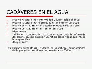 CADÁVERES EN EL AGUA Muerte natural o por enfermedad y luego caída al agua Muerte natural o por efermedad en el interior del agua Muerte por trauma en el exterior y luego caída al agua Muerte por trauma en el interior del agua Hipotermia Inhibición (contacto brusco con el agua bajo la influencia del alcohol puede producir un reflejo bago vagal que inhibe la respiración) Ahogamiento Los cuerpos presentarán livideces en la cabeza, arrugamiento de la piel y desprendimiento de esta a los 7 días. 
