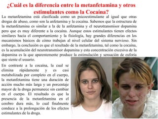 ¿Cuál es la diferencia entre la metanfetamina y otros
              estimulantes como la Cocaína?
La metanfetamina está clasificada como un psicoestimulante al igual que otras
drogas de abuso, como son la anfetamina y la cocaína. Sabemos que la estructura de
la metanfetamina es similar a la de la anfetamina y el neurotransmisor dopamina
pero que es muy diferente a la cocaína. Aunque estos estimulantes tienen efectos
similares hacia el comportamiento y la fisiología, hay grandes diferencias en los
mecanismos básicos de cómo trabajan al nivel celular del sistema nervioso. Sin
embargo, la conclusión es que el resultado de la metanfetamina, tal como la cocaína,
es la acumulación del neurotransmisor dopamina y esta concentración excesiva de la
dopamina es la que aparentemente produce la estimulación y sensación de euforia
que siente el usuario.
En contraste a la cocaína, la cual se
elimina     rápidamente    y    es    casi
metabolizada por completo en el cuerpo,
la metanfetamina tiene una duración de
acción mucho más larga y un porcentaje
mayor de la droga permanece sin cambiar
en el cuerpo. El resultado es que la
presencia de la metanfetamina en el
cerebro dura más, lo cual finalmente
conduce a la prolongación de los efectos
estimulantes de la droga.
 