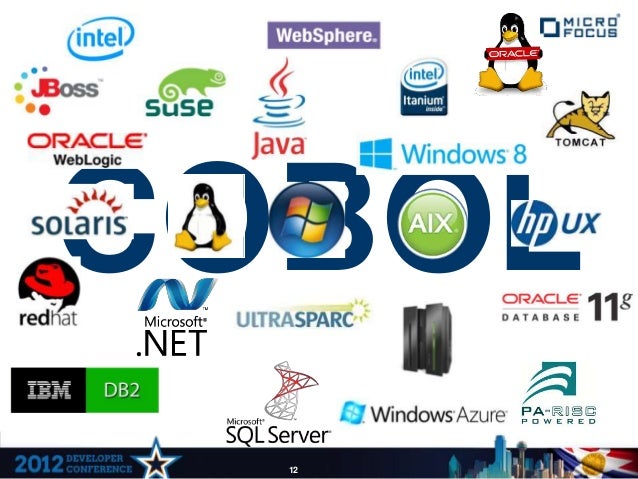 Micro Focus Net Express Personal Edition