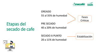 Etapas del
secado de cafe
OREADO
55 al 35% de humedad
PRE SECADO
40 a 20% de humedad
SECADO A PUNTO
20 a 11% de humedad
Fa...