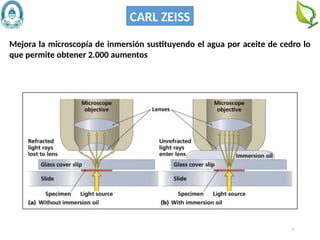 11
Mejora la microscopía de inmersión sustituyendo el agua por aceite de cedro lo
que permite obtener 2.000 aumentos
CARL ZEISS
 