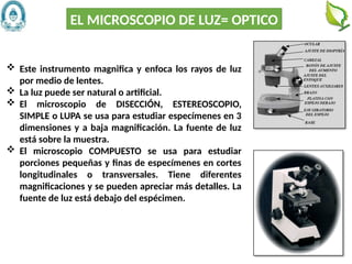 14
EL MICROSCOPIO DE LUZ= OPTICO
 Este instrumento magnifica y enfoca los rayos de luz
por medio de lentes.
 La luz puede ser natural o artificial.
 El microscopio de DISECCIÓN, ESTEREOSCOPIO,
SIMPLE o LUPA se usa para estudiar especímenes en 3
dimensiones y a baja magnificación. La fuente de luz
está sobre la muestra.
 El microscopio COMPUESTO se usa para estudiar
porciones pequeñas y finas de especímenes en cortes
longitudinales o transversales. Tiene diferentes
magnificaciones y se pueden apreciar más detalles. La
fuente de luz está debajo del espécimen.
 