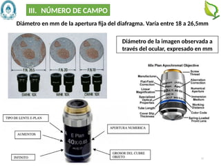 17
Diámetro de la imagen observada a
través del ocular, expresado en mm
III. NÚMERO DE CAMPO
Diámetro en mm de la apertura fija del diafragma. Varía entre 18 a 26,5mm
 