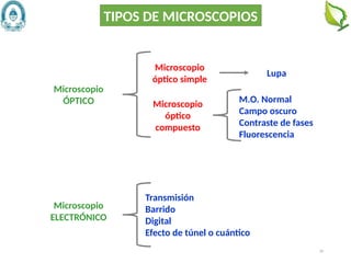 20
TIPOS DE MICROSCOPIOS
Microscopio
ÓPTICO
Microscopio
ELECTRÓNICO
Microscopio
óptico simple
Microscopio
óptico
compuesto
Lupa
M.O. Normal
Campo oscuro
Contraste de fases
Fluorescencia
Transmisión
Barrido
Digital
Efecto de túnel o cuántico
 