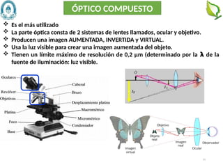 23
 Es el más utilizado
 La parte óptica consta de 2 sistemas de lentes llamados, ocular y objetivo.
 Producen una imagen AUMENTADA, INVERTIDA y VIRTUAL.
 Usa la luz visible para crear una imagen aumentada del objeto.
 Tienen un límite máximo de resolución de 0,2 μm (determinado por la 𝝺 de la
fuente de iluminación: luz visible.
ÓPTICO COMPUESTO
 