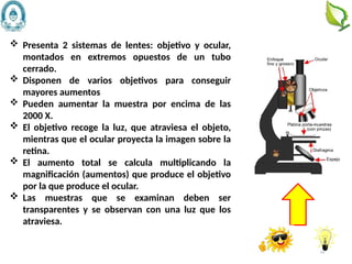 24
 Presenta 2 sistemas de lentes: objetivo y ocular,
montados en extremos opuestos de un tubo
cerrado.
 Disponen de varios objetivos para conseguir
mayores aumentos
 Pueden aumentar la muestra por encima de las
2000 X.
 El objetivo recoge la luz, que atraviesa el objeto,
mientras que el ocular proyecta la imagen sobre la
retina.
 El aumento total se calcula multiplicando la
magnificación (aumentos) que produce el objetivo
por la que produce el ocular.
 Las muestras que se examinan deben ser
transparentes y se observan con una luz que los
atraviesa.
 