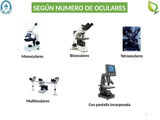 29
SEGÚN NUMERO DE OCULARES
Con pantalla incorporada
Multioculares
Tetraoculares
Binoculares
Monoculares
 