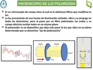 36
MICROSCOPIO DE LUZ POLARIZADA
 Es un microscopio de campo claro al cual se le adicionan filtros que modifican la
luz.
 La luz proveniente de una fuente de iluminación estándar, vibra y se propaga en
todas las direcciones, pero al pasar por un filtro polarizador, las ondas y su
campo eléctrico oscilan todos en un mismo plano
 El polarizador es un dispositivo que deja solo pasar la luz que vibra en un plano
determinado que se denomina “eje de polarización”
 