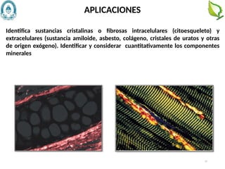 37
Identifica sustancias cristalinas o fibrosas intracelulares (citoesqueleto) y
extracelulares (sustancia amiloide, asbesto, colágeno, cristales de uratos y otras
de origen exógeno). Identificar y considerar cuantitativamente los componentes
minerales
APLICACIONES
 