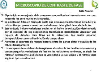 38
MICROSCOPIO DE CONTRASTE DE FASE
Frits Zernike
 El principio es semejante al de campo oscuro; se ilumina la muestra con un cono
hueco de luz pero mucho más estrecho.
 Se emplea un filtro en forma de anillo que disminuye la intensidad de la luz y al
mismo tiempo provoca un retraso o desfase en la longitud de onda de la luz.
 Este método induce variaciones sutiles en el índice de refracción (determinado
por el espesor) de los especímenes translúcidos permitiendo visualizar una
riqueza de detalles muy finos en la estructura, los cuales pasarían
desapercibidos con una iluminación de campo claro
 Aumenta el contraste de manera notoria entre las partes claras y oscuras de las
células transparentes
 Los componentes celulares heterogéneos absorben la luz de diferente manera y
causan pequeñas variaciones de fase en las radiaciones luminosas, es decir, las
retrasan ligeramente al disminuir la velocidad a la cual viajan y el retraso varía
según el tipo de estructura
 