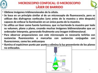 42
• Obtiene imágenes tridimensionales de la célula.
• Se basa en un principio similar al de un microscopio de fluorescencia, pero se
utilizan dos diafragmas confocales (uno antes de la muestra y otro después)
capaces de enfocar la iluminación en un único punto de la muestra.
• Se utiliza un láser como fuente luminosa, que va barriendo la muestra por todo
su volumen, plano a plano, creando muchas imágenes bidimensionales que un
ordenador interpreta, generando finalmente una imagen tridimensional.
• Para observar preparaciones con este microscopio es necesario teñirlas con
sustancias fluorescentes o marcarlas con sustancias conjugadas con
fluorocromos, como los anticuerpos
• Ilumina el espécimen punto por punto y elimina la luz proveniente de los planos
no enfocados.
MICROSCOPIO CONFOCAL: O MICROSCOPIO
LÁSER DE BARRIDO
 