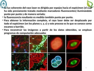 43
• La luz coherente del rayo laser es dirigida por espejos hacia el espécimen (el cual
ha sido previamente tratado mediante marcadores fluorescentes) iluminándolo
punto por punto y de manera seriada;
• la fluorescencia resultante es medida también punto por punto.
• Para obtener la información completa, el rayo laser debe ser desplazado por
todo el espécimen (en los planos x, y, z) y este proceso es lo que se conoce como
escaneo o barrido.
• Para reconstruir las imágenes a partir de los datos obtenidos, se emplean
programas de computación adecuados
 